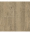 Stylish oak natural